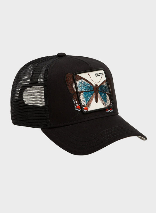 101-3178-VOI01 - Cappelli - Goorin Bros