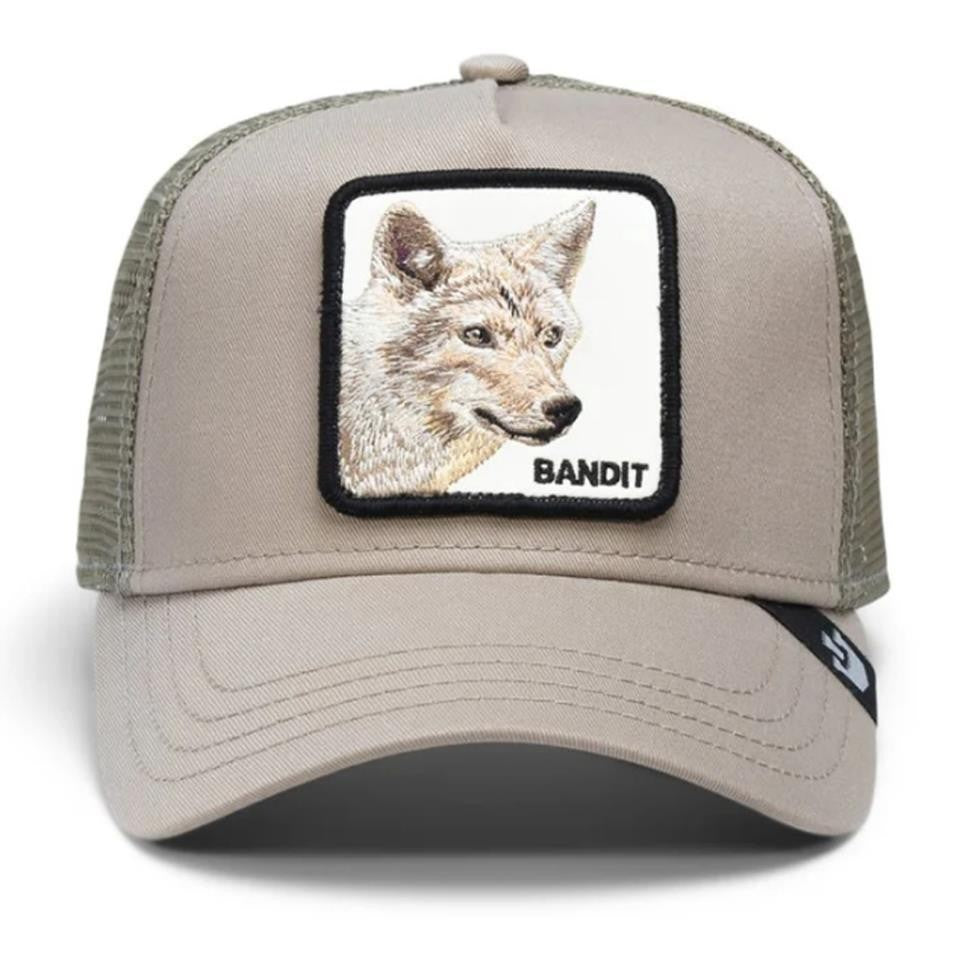 THE BANDIT COYOTE