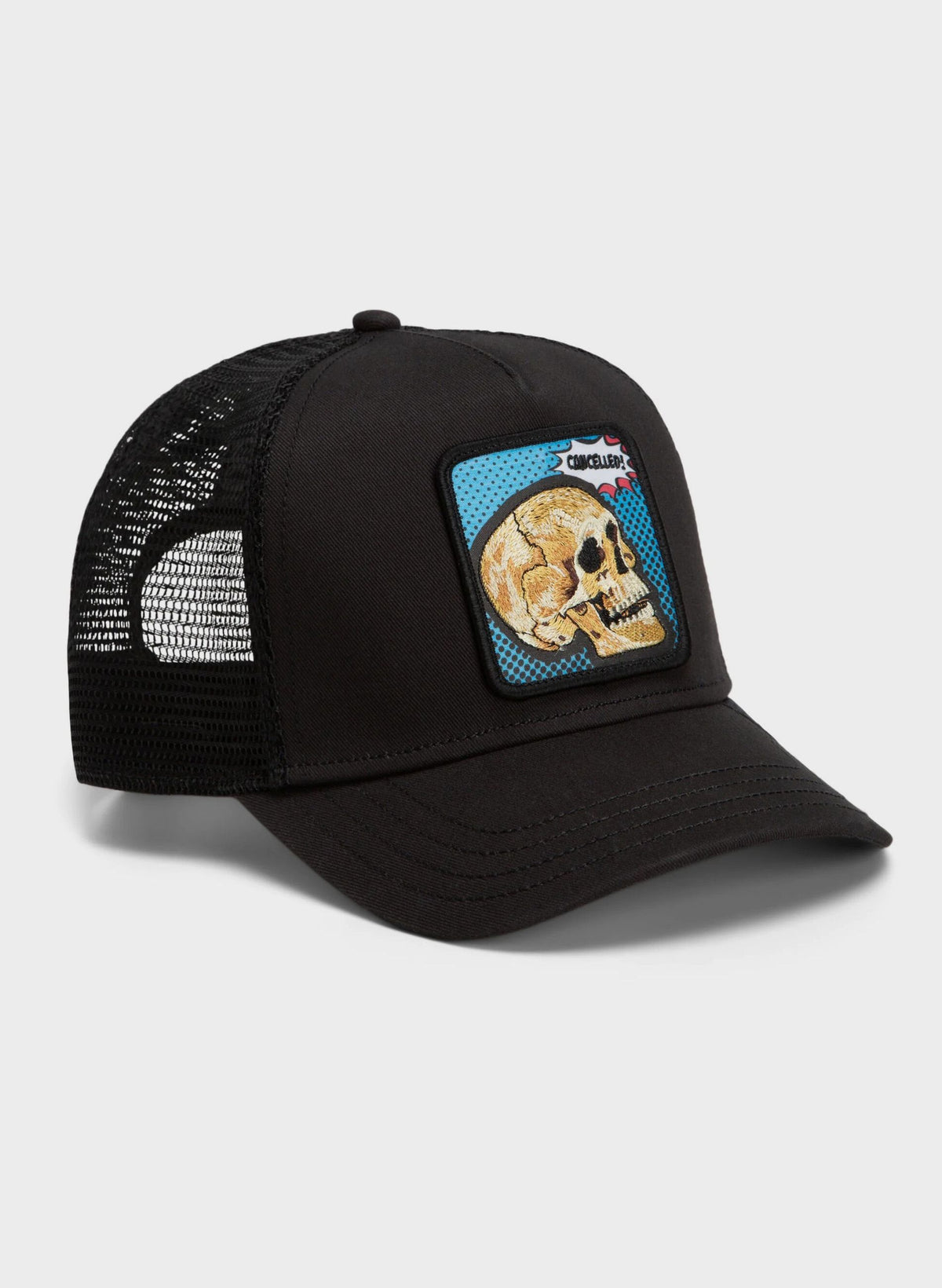 101-3290-VOI01 - Cappelli - Goorin Bros