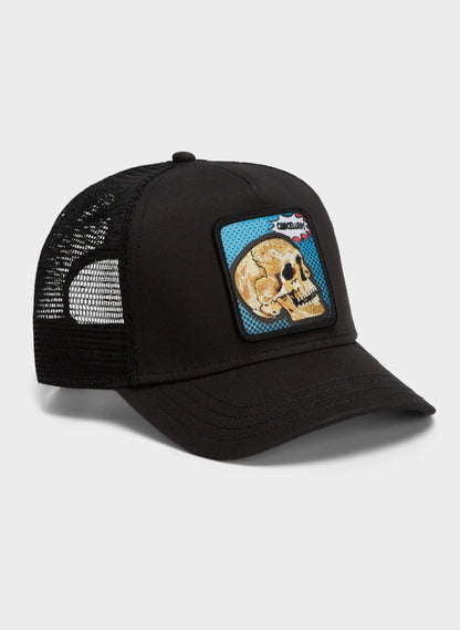 101-3290-VOI01 - Cappelli - Goorin Bros